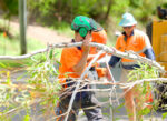 Tree Pruning 